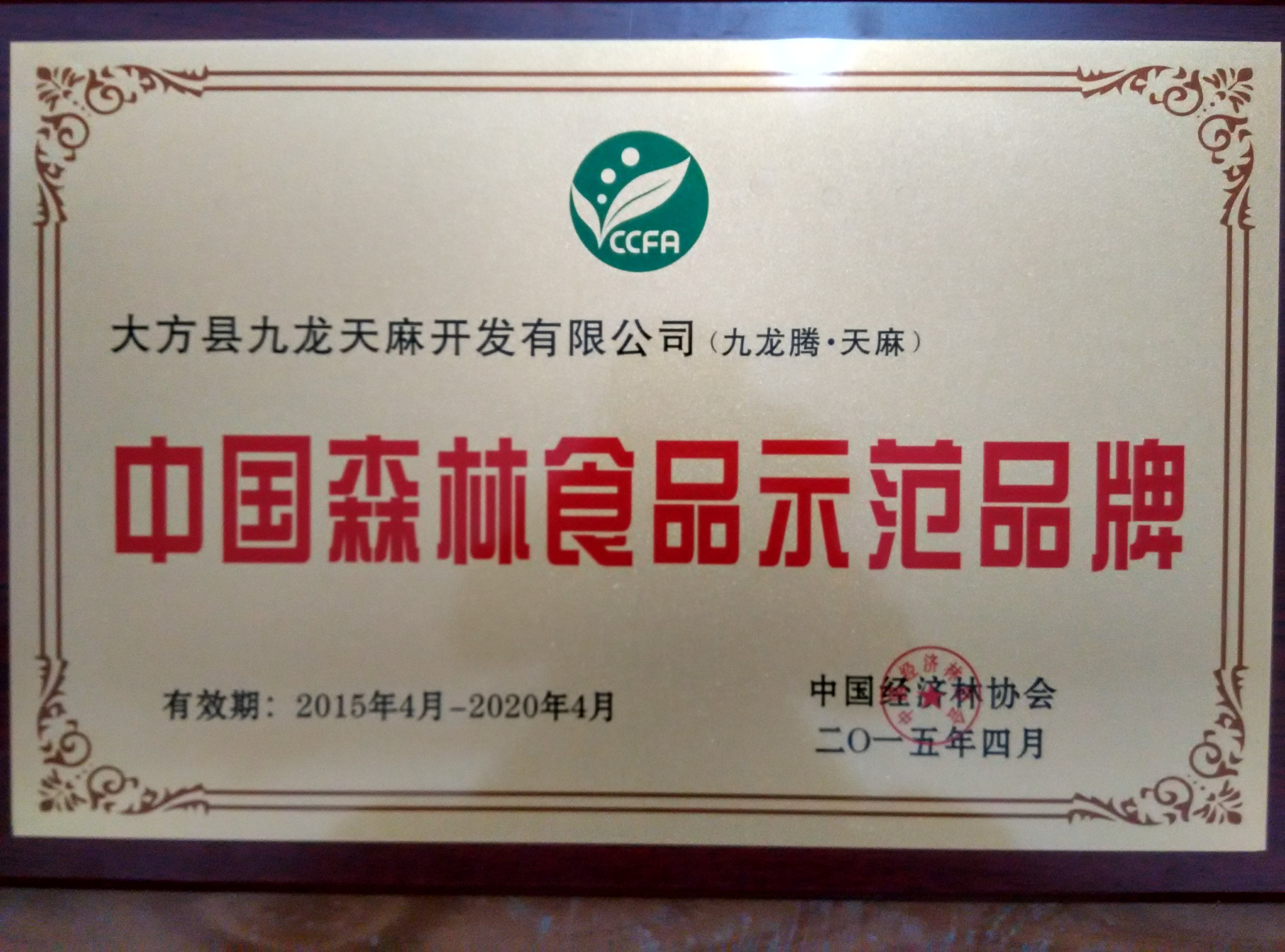 中国森林食品示范品牌